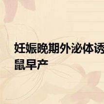 妊娠晚期外泌体诱导小鼠早产