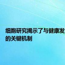 细胞研究揭示了与健康发展相关的关键机制