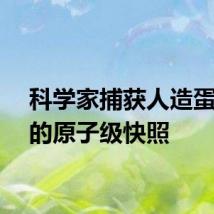 科学家捕获人造蛋白质的原子级快照
