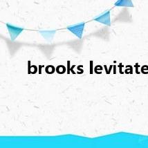 brooks levitate