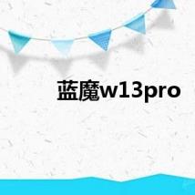 蓝魔w13pro