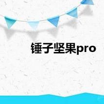 锤子坚果pro
