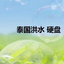 泰国洪水 硬盘