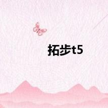 拓步t5