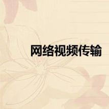 网络视频传输