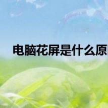 电脑花屏是什么原因