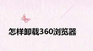 怎样卸载360浏览器