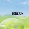 智簿大k