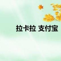 拉卡拉 支付宝