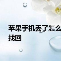 苹果手机丢了怎么定位找回
