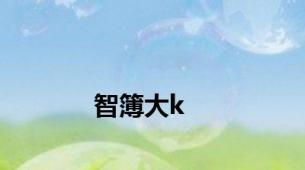 智簿大k