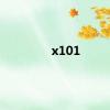 x101