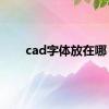 cad字体放在哪