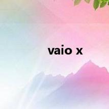 vaio x