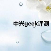 中兴geek评测