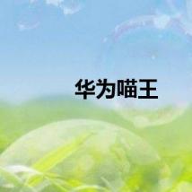 华为喵王
