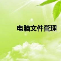 电脑文件管理