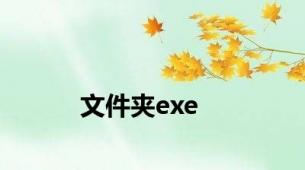 文件夹exe