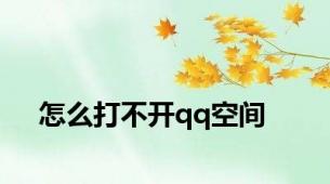 怎么打不开qq空间