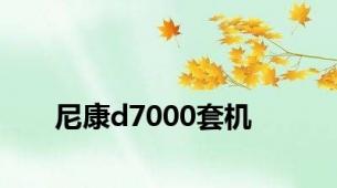 尼康d7000套机