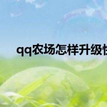 qq农场怎样升级快