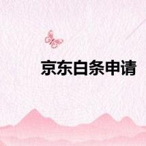 京东白条申请
