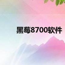 黑莓8700软件