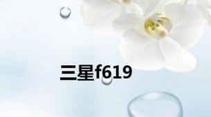 三星f619