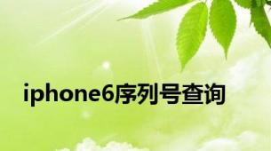 iphone6序列号查询