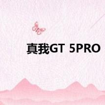 真我GT 5PRO