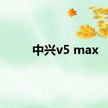 中兴v5 max