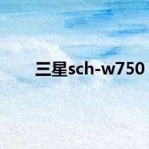三星sch-w750