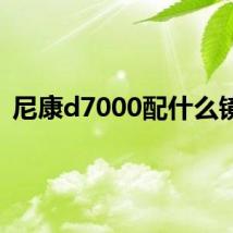 尼康d7000配什么镜头