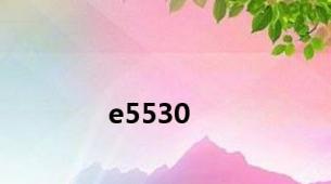 e5530