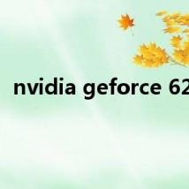 nvidia geforce 6200