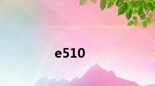 e510