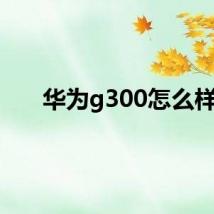 华为g300怎么样