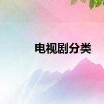 电视剧分类